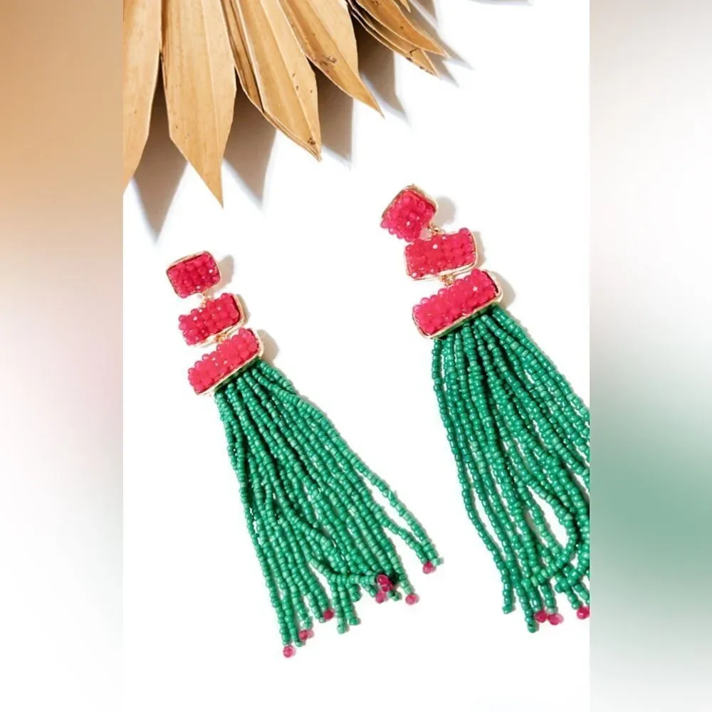 Beaded tassel drop earrings #669